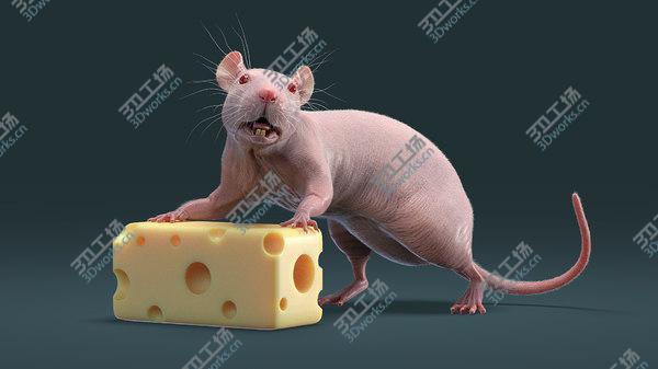 images/goods_img/20210312/3D Rat Hairless Animated/5.jpg